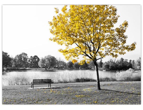 Tablou - relaxare în parc (70x50 cm)