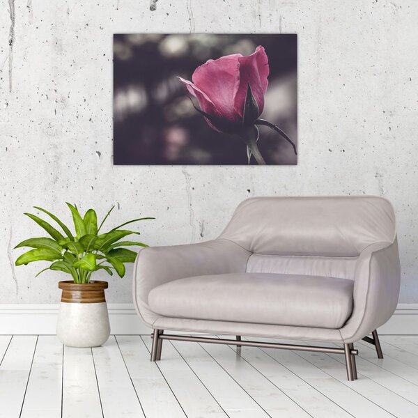 Tablou - Detaliu florii de trandafir (70x50 cm)