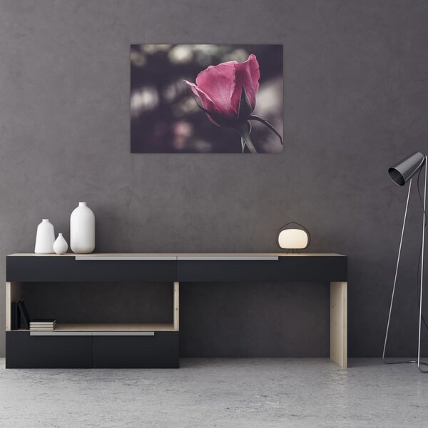 Tablou - Detaliu florii de trandafir (70x50 cm)