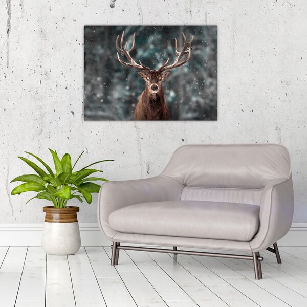 Tablou - Cerbul majestic (70x50 cm)