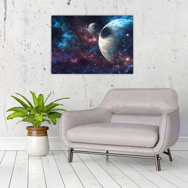 Tablou cu cosmos (70x50 cm)