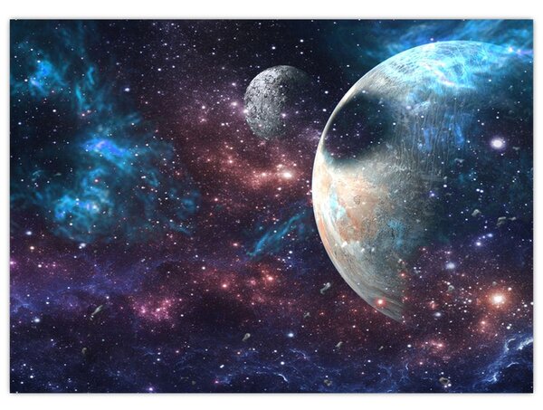 Tablou cu cosmos (70x50 cm)