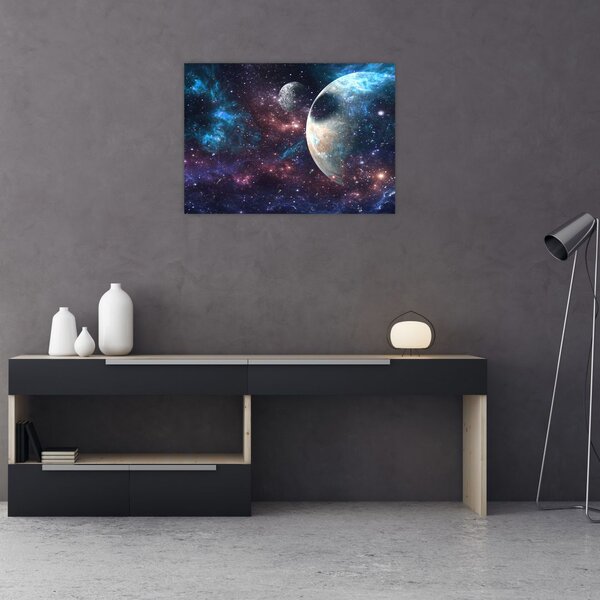Tablou cu cosmos (70x50 cm)