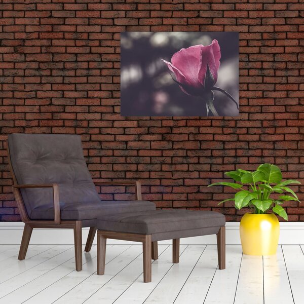 Tablou - Detaliu florii de trandafir (70x50 cm)