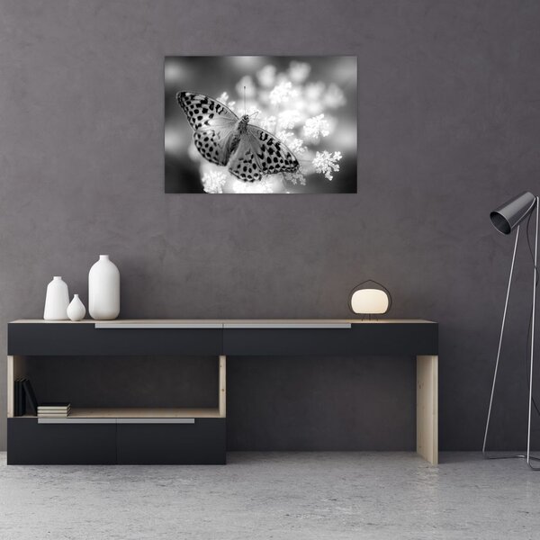 Tablou - Detailu cu fluture care polenizează floare (70x50 cm)