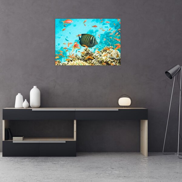 Tablou lumii submarine (70x50 cm)
