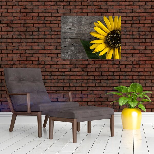 Tablou - Floare de floarea soarelui (70x50 cm)