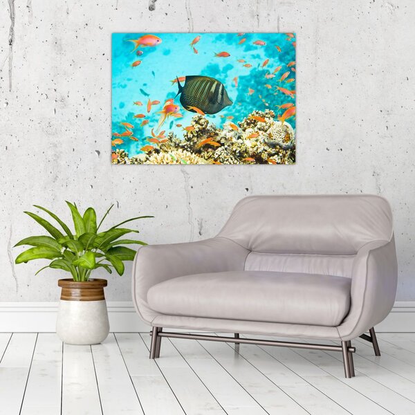 Tablou lumii submarine (70x50 cm)