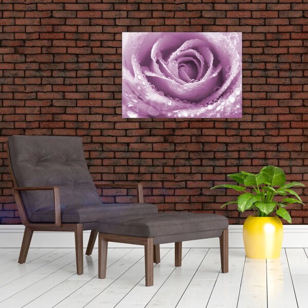 Tablou detaliu de floare de trandafir (70x50 cm)