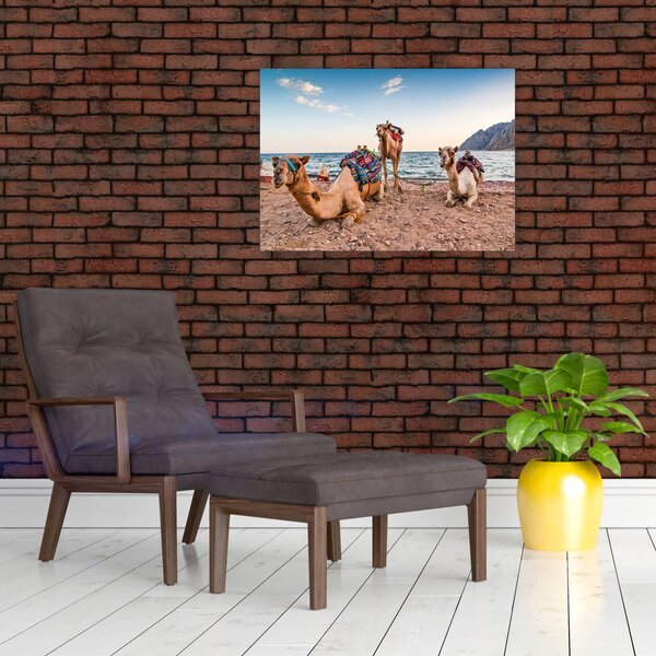 Tablou cu cămile (70x50 cm)