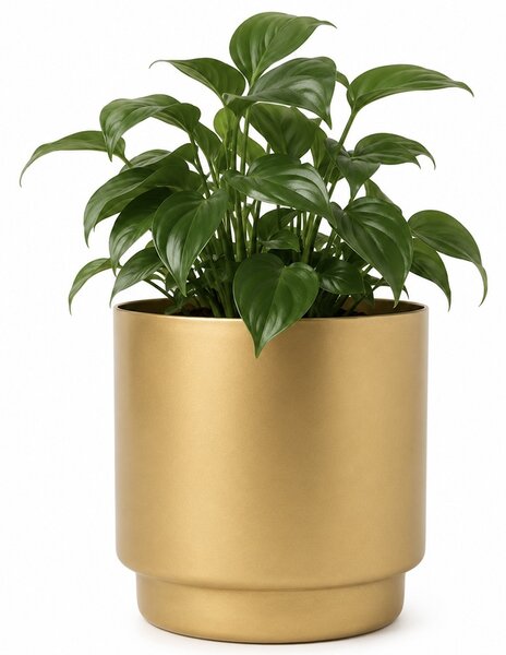 Ghiveci decorativ metalic Pufo Garden pentru flori, Ø 13.5 cm, auriu