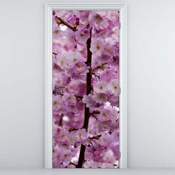 Fototapeta pentru ușă - flori de măr (95x205cm)
