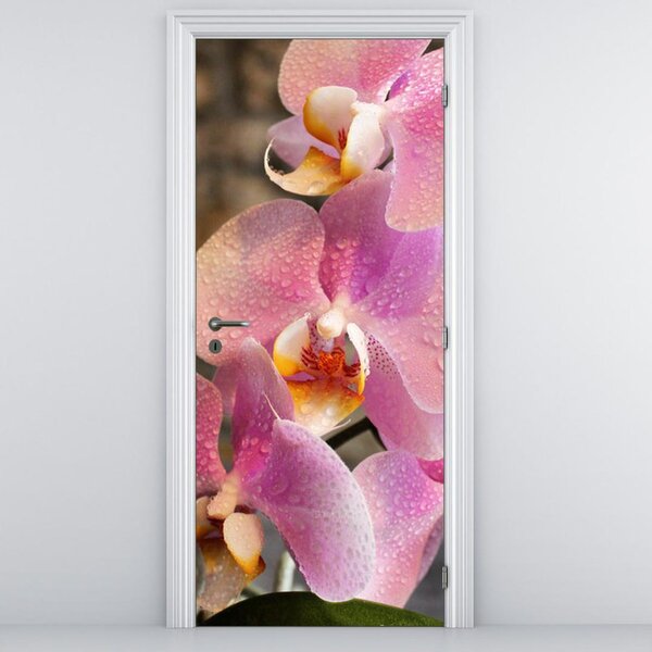 Fototapeta pentru ușă - orhidea (95x205cm)