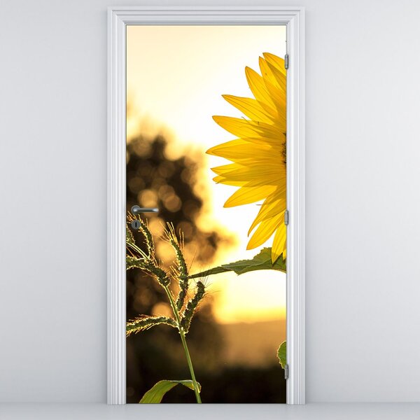 Fototapet pentru ușă - Floarea soarelui (95x205cm)