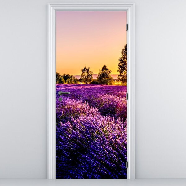 Fototapet pentru ușă - Câmp cu lavandă (95x205cm)
