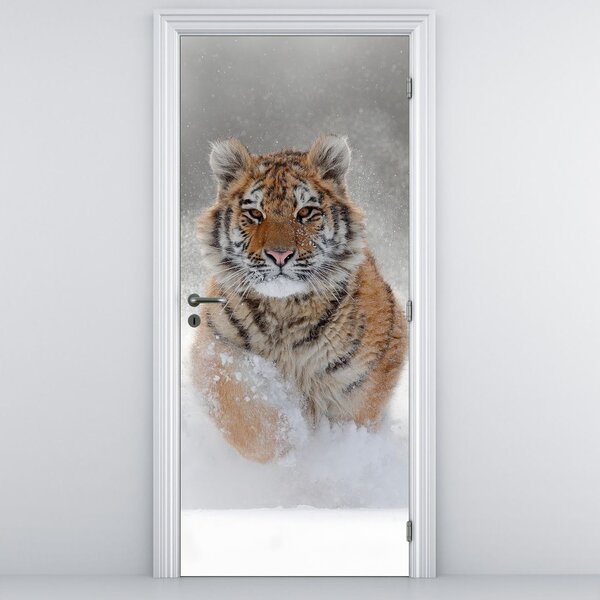 Fototapet pentru ușă - Tigrul care aleargă în zăpadă (95x205cm)