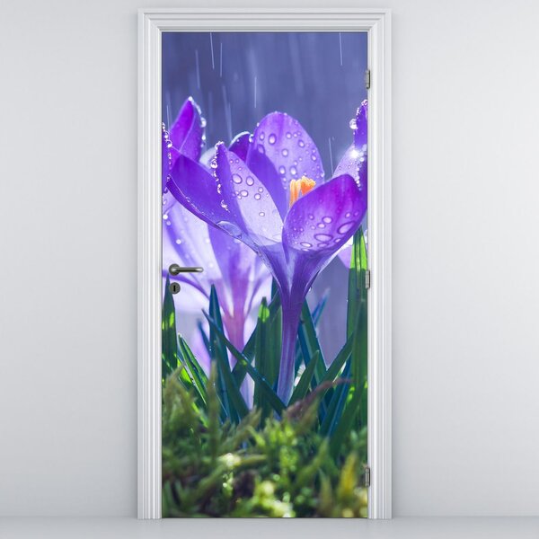 Fototapet pentru ușă - Flori în ploaie (95x205cm)