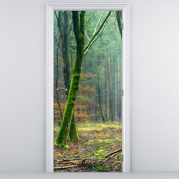 Fototapet pentru ușă - Pădurea (95x205cm)