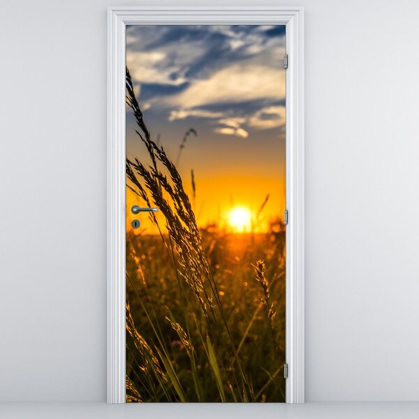 Fototapet pentru ușă - Câmp la apus de soare (95x205cm)