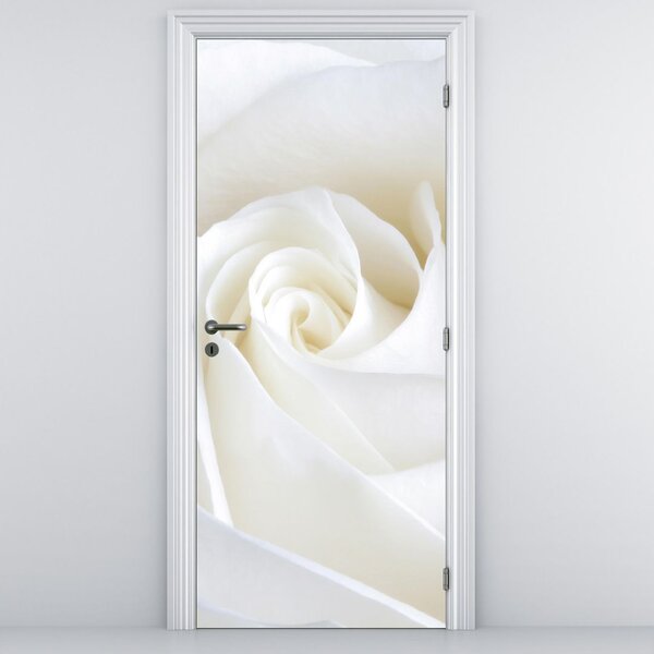 Fototapet pentru ușă - Floare albă (95x205cm)