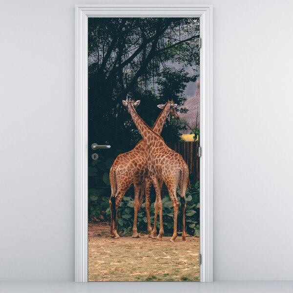 Fototapet pentru ușă - Două girafe (95x205cm)