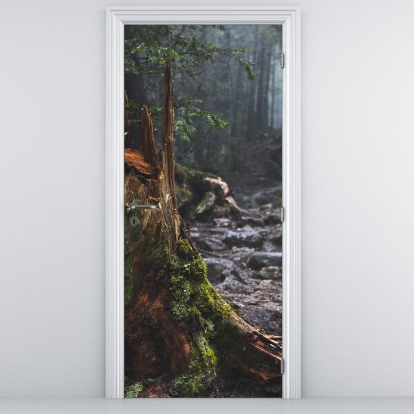 Fototapet pentru ușă - În pădure (95x205cm)
