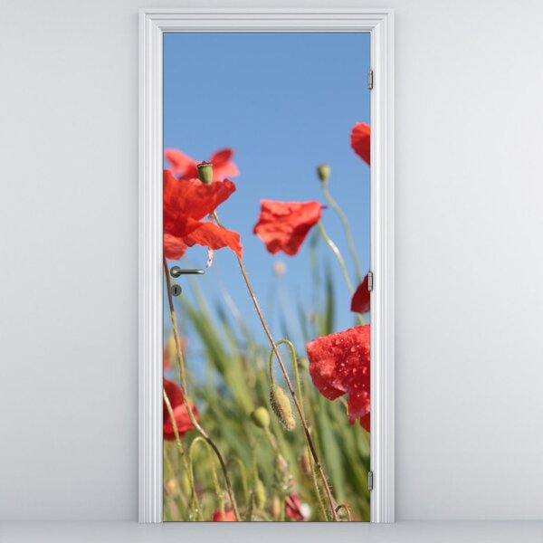 Fototapet pentru ușă - Maci (95x205cm)