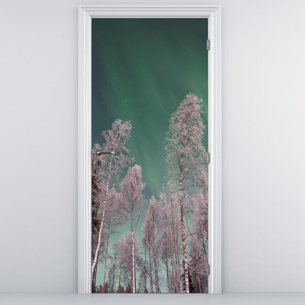 Fototapet pentru ușă - Aurora boreală peste copaci înghețați (95x205cm)