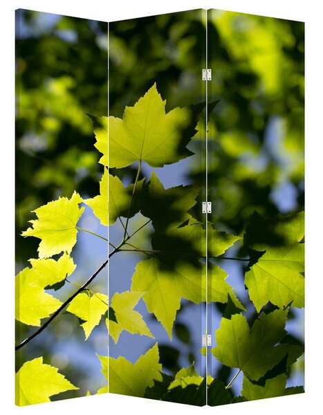 Paravan - Frunze de arțar (126x170 cm)