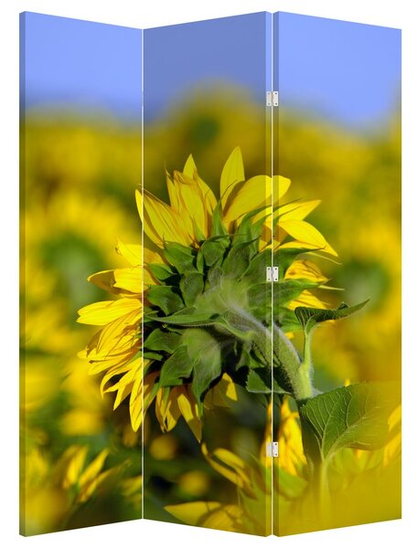 Paravan - Floarea soarelui (126x170 cm)