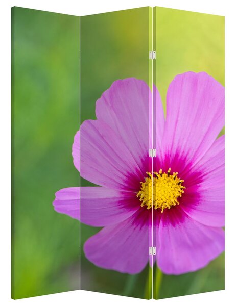 Paravan - Floare de câmp (126x170 cm)