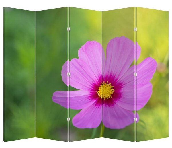 Paravan - Floare de câmp (210x170 cm)