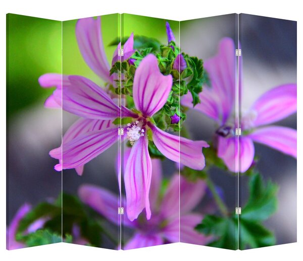 Paravan - Floarea detailat (210x170 cm)