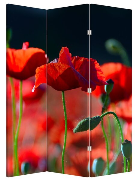 Paravan - Flori de maci (126x170 cm)