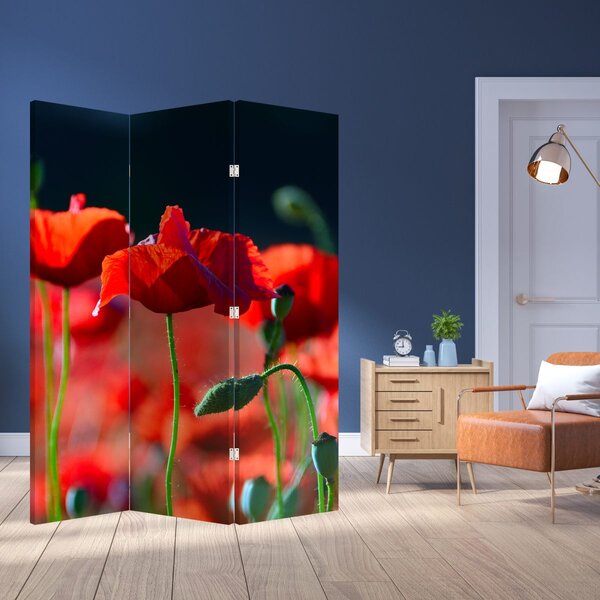 Paravan - Flori de maci (126x170 cm)