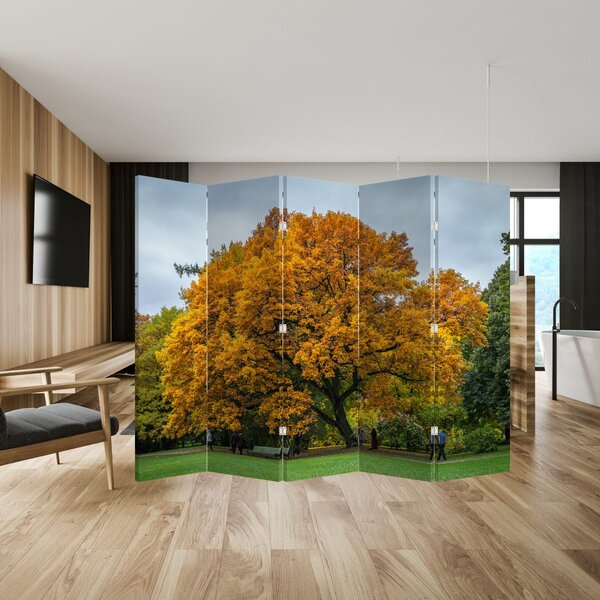 Paravan - Copac (210x170 cm)