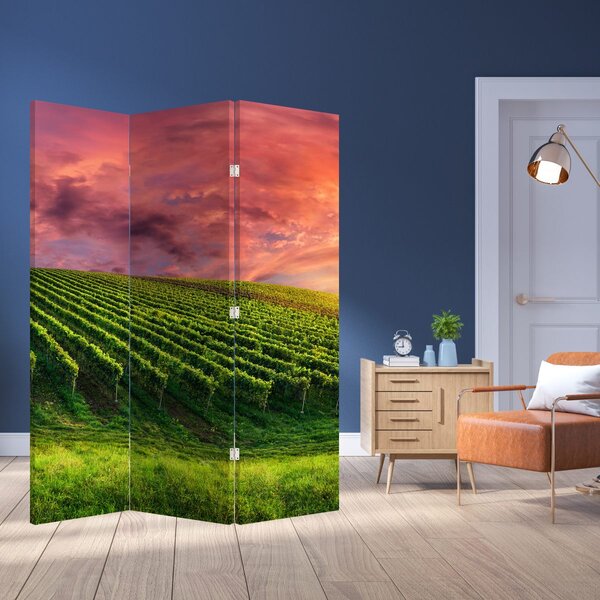 Paravan - Vie cu cerul color (126x170 cm)
