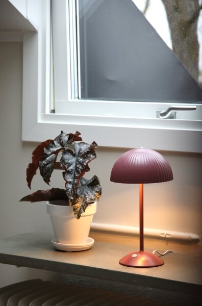 Markslöjd 109142 - Lampă de masă ZIN 2xG9/20W/230V, roz
