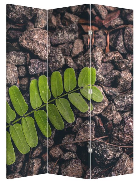Paravan - Planta verde (126x170 cm)