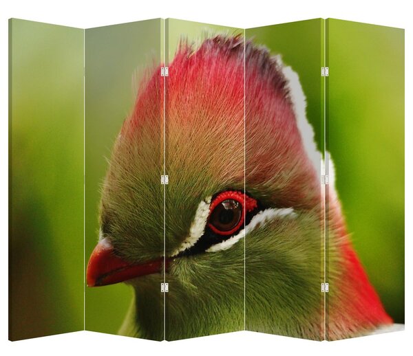 Paravan - Pasărea colorată (210x170 cm)
