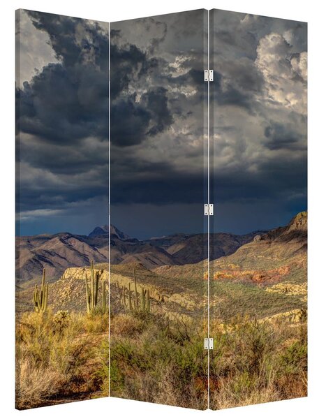 Paravan - Cactușii în natură (126x170 cm)