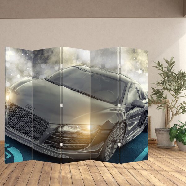 Paravan - Audi - gri (210x170 cm)