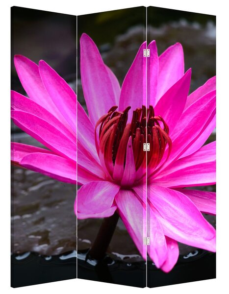 Paravan - Floarea roz (126x170 cm)