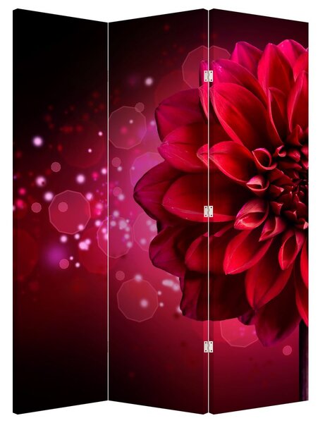 Paravan - Floare roșie (126x170 cm)