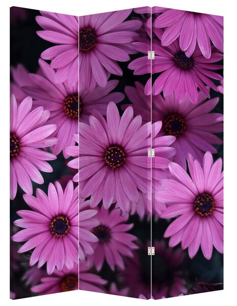 Paravan - Florile roz (126x170 cm)