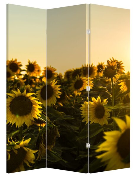 Paravan - Lan de floarea soarelui (126x170 cm)