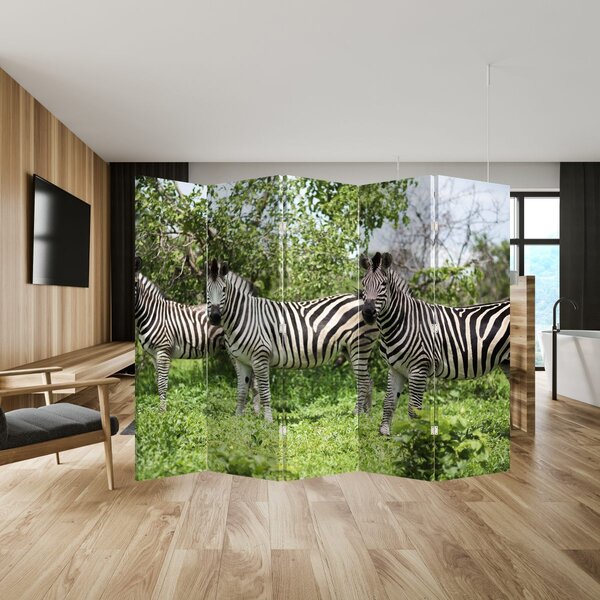 Paravan - Zebre (210x170 cm)
