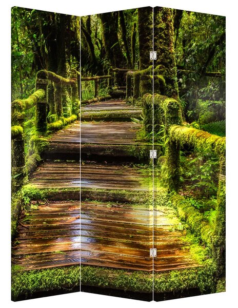 Paravan - Scări într-o pădure tropicală (126x170 cm)
