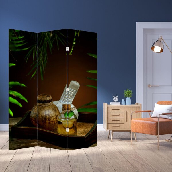Paravan - Obiectele spa (126x170 cm)
