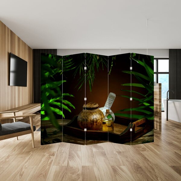 Paravan - Obiectele spa (210x170 cm)